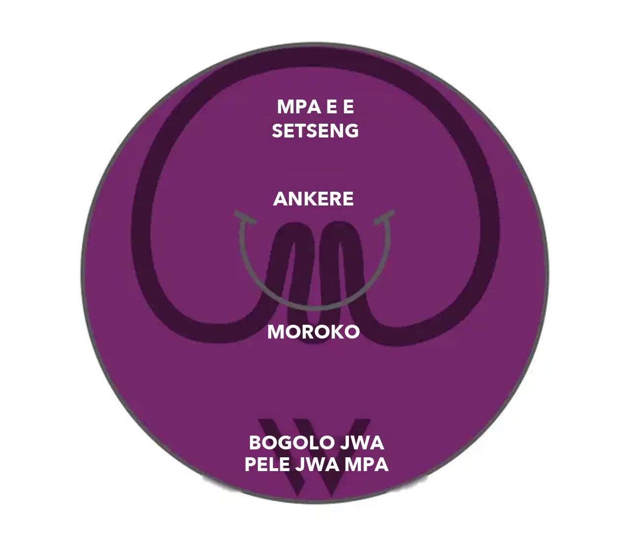 Setshwantsho sa pose® 3.0 Double Helix: diankere le go roka di phutha lobota lwa mpa, mpa e e setseng e nnye thata go feta bogolo jwa mpa jwa pele