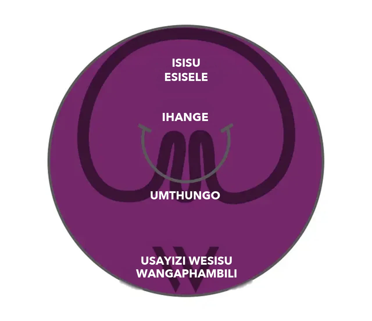 Umdwebo: isisu ngemuva kokuhlanganiswa nge-pose® 3.0 Double Helix – isisu esisele, ama-anchor nomthungo ngaphakathi kobukhulu besisu bangaphambili